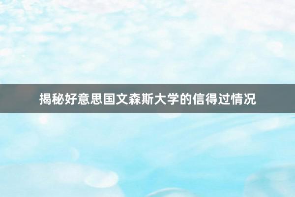 揭秘好意思国文森斯大学的信得过情况
