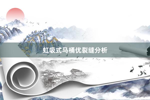 虹吸式马桶优裂缝分析